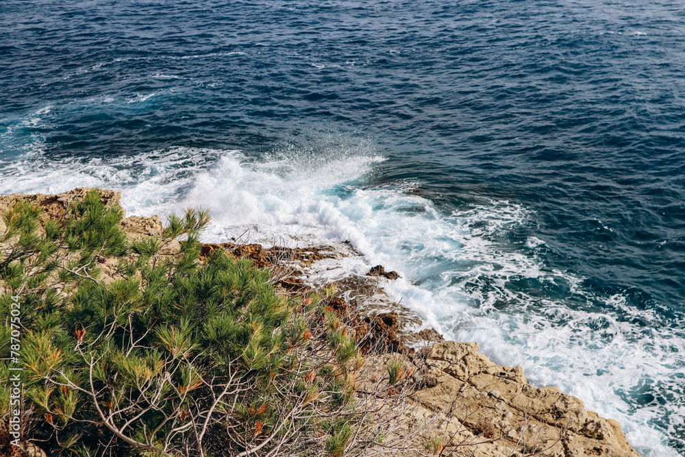 Φωτογραφία View of the beautiful Saint Jean Cap Ferrat peninsula on the French Riviera
