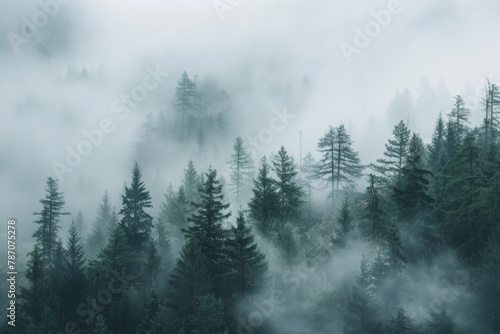 Misty mountain forest  ideal for active hiking adventures and outdoor exploration.