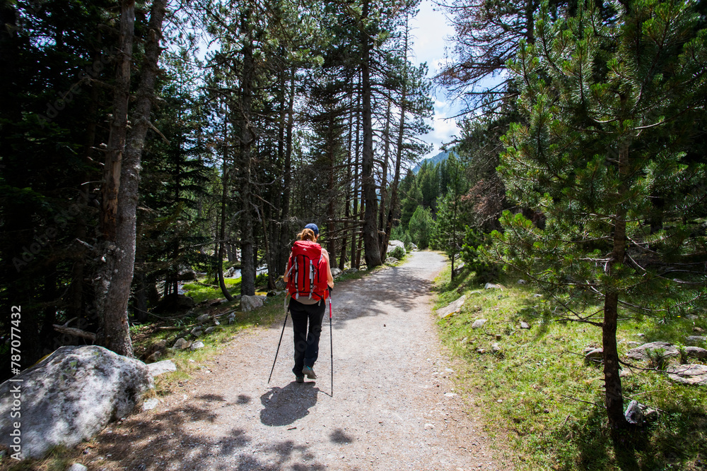 Obraz premium Young hiker woman in Vall de Boi, Aiguestortes and Sant Maurici National Park, Spain