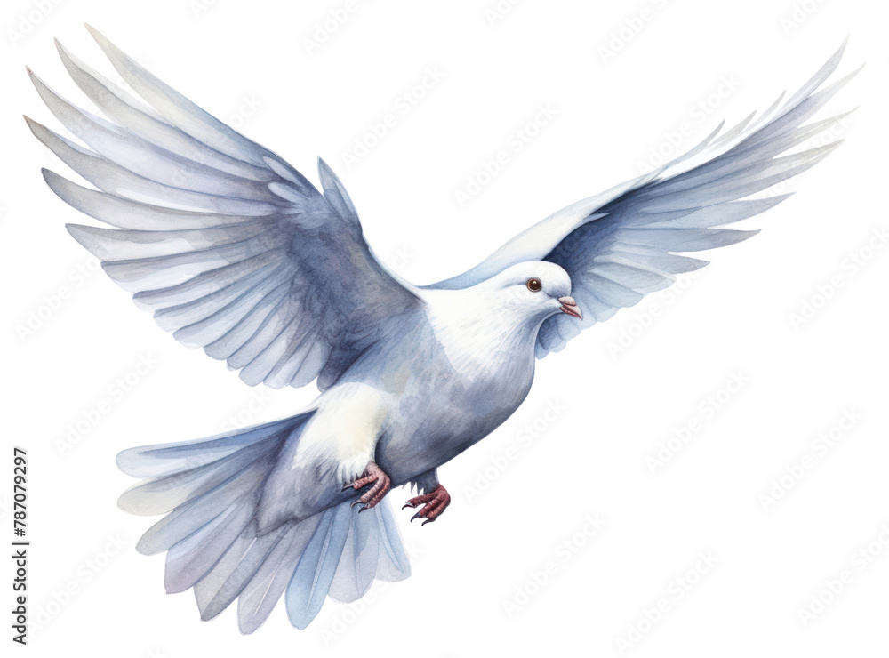 Fototapeta premium PNG bird dove flying wildlife. 