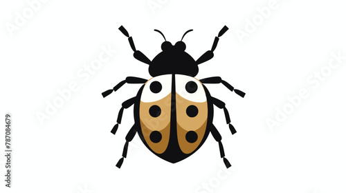 Isolated bug symbol icon vector illustration graphic