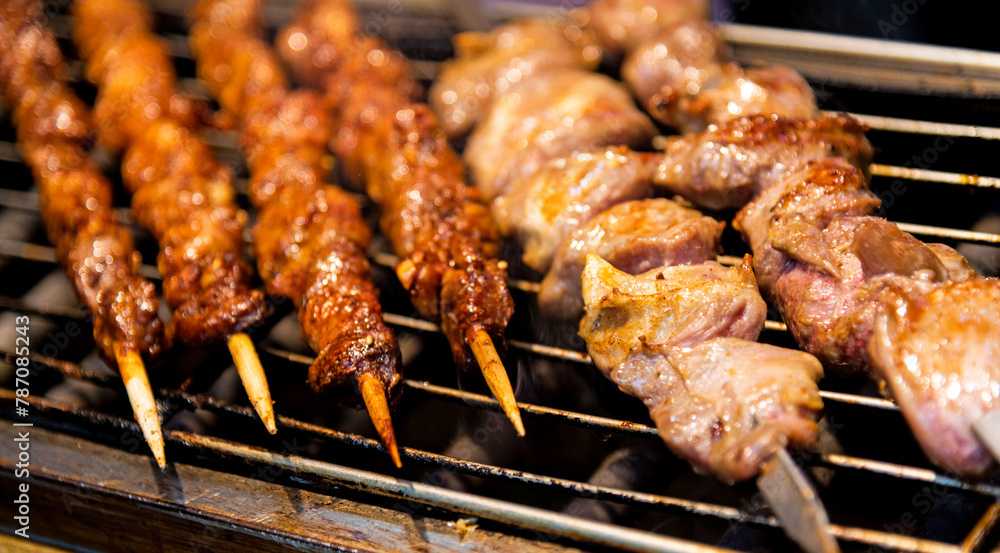 Meat skewers on the grill