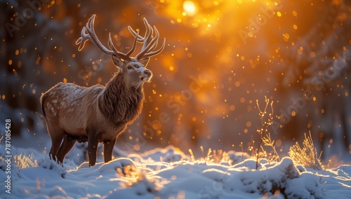 A deer is gracefully standing in the snow as the sun sets, creating a breathtaking natural landscape with an atmospheric phenomenon