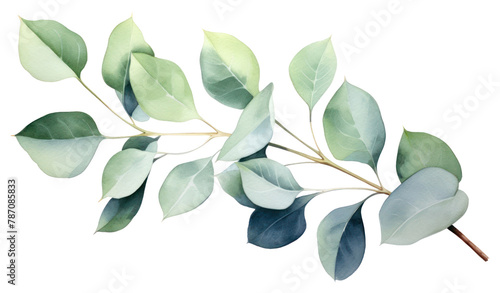 PNG Plant leaf tree gardenia photo