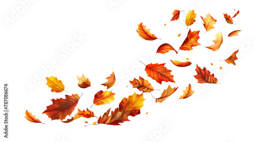 Vibrant autumn leaves falling isolated on a transparent blank background. Decorative pattern of warm colored dry leaves: red, orange and yellow, floating naturally in the air to overlay on an image
