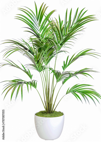 House Indoor Plant in a white Pot Digital Art Wallpaper Background Backdrop Brainstorming Cover Card