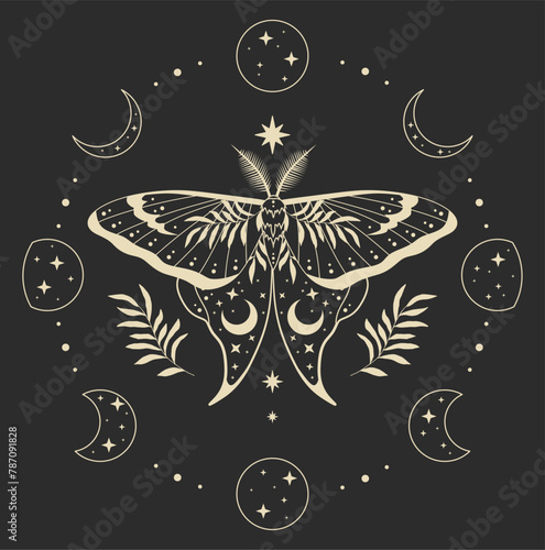 Vector illustration of moon moth. For print for T-shirts and bags, decor element. Mystical and magical, astrology illustration