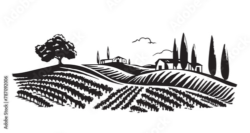 Vineyard landscape, Sketch, hand drawn illustrations.	
