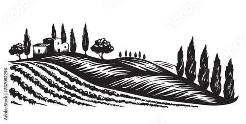 Vineyard landscape, Sketch, hand drawn illustrations.