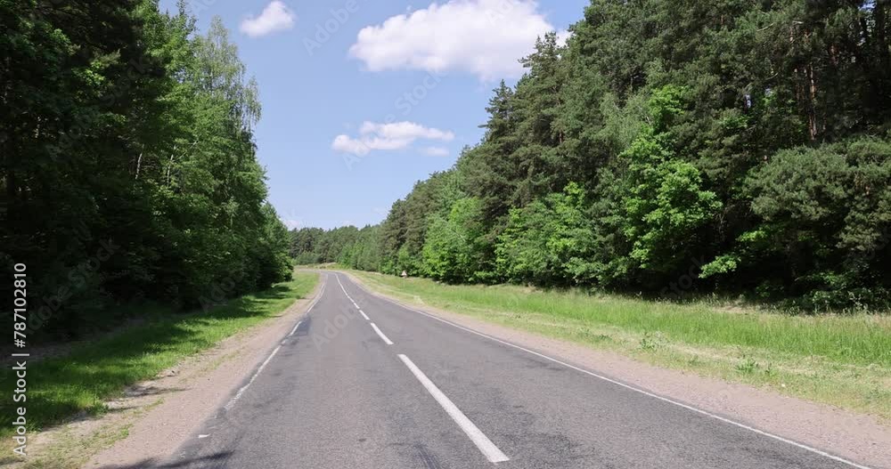 paved road with trees in the forest in sunny weather, trees along the paved road for cars paved road with trees in the forest in sunny weather, trees along the paved road for cars