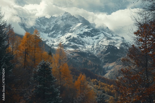 Snow-Covered Mountain Surrounded by Trees