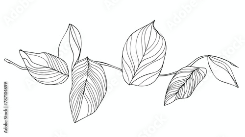 One line continuous of leaves single line drawing art © Jasmin