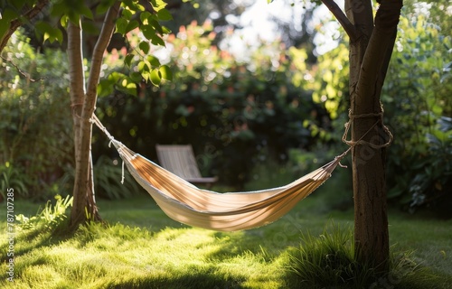 Hammock Hanging Between Two Trees in a Yard