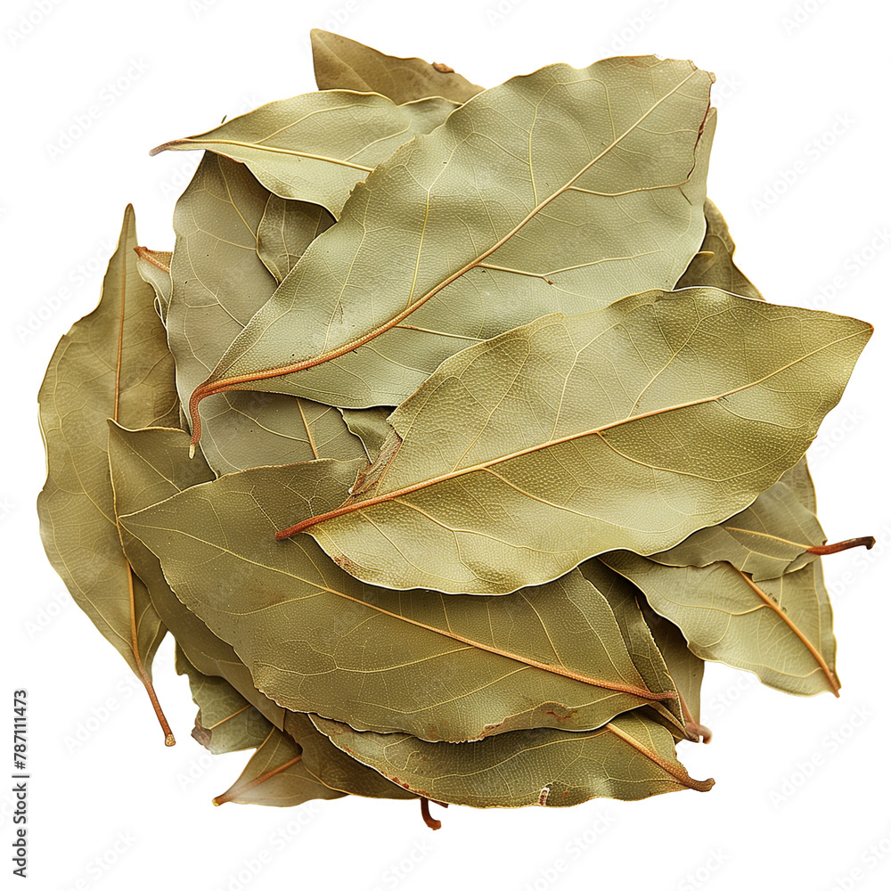 A stack of dried bay leaves, casting a complex aroma, ready for enriching stews and soups, symbolizing tradition, isolated on transparent background A stack of dried bay leaves, casting a complex aroma, ready for enriching stews and soups, symbolizing tradition, isolated on transparent background