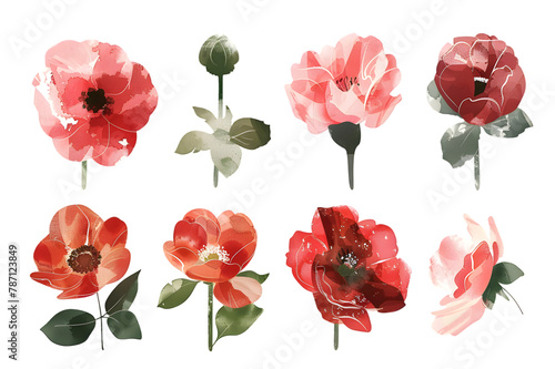 Colorful flowers hand drawn collection isolated on transparent background