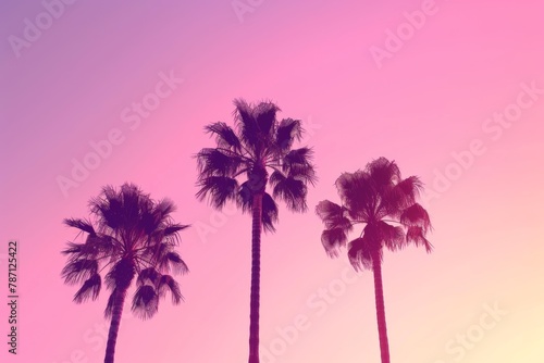 palms on the pink sky background on the sunset