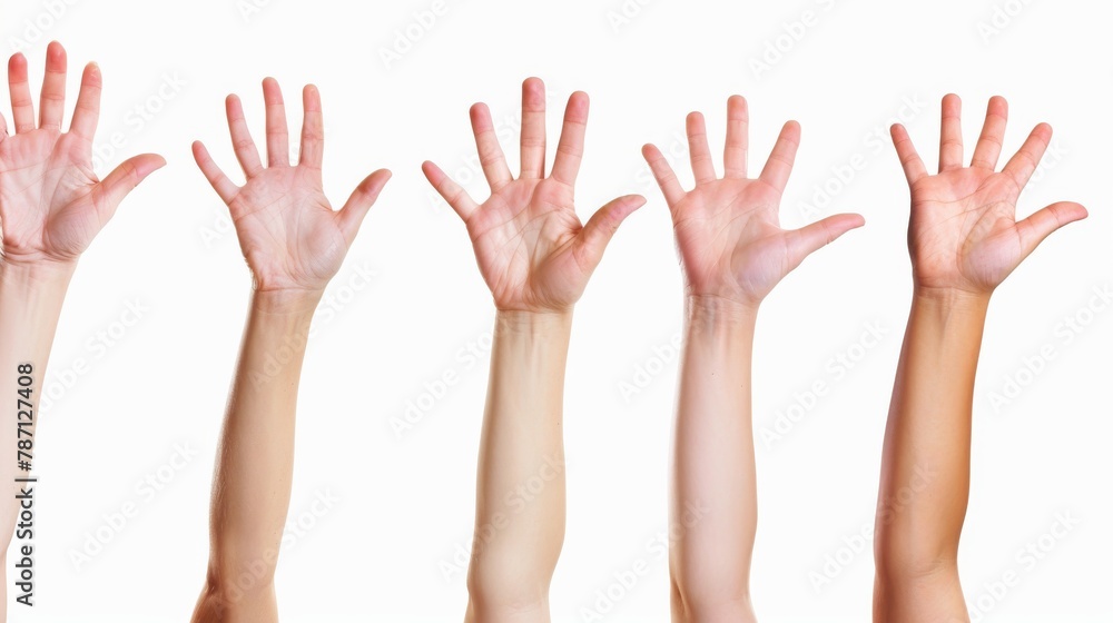 An image of female hands raised up, isolated in color An image of female hands raised up, isolated in color