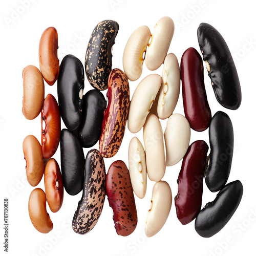 A neatly arranged row of multicolored beans, including kidney beans, black beans, and pinto beans, celebrating diversity and nutrition, isolated on transparent background