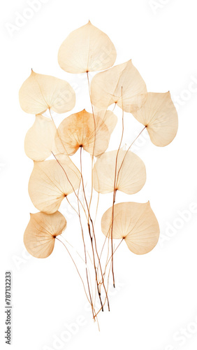 PNG Flower pattern art white background