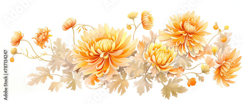 a many yellow flowers on a white background © Masum