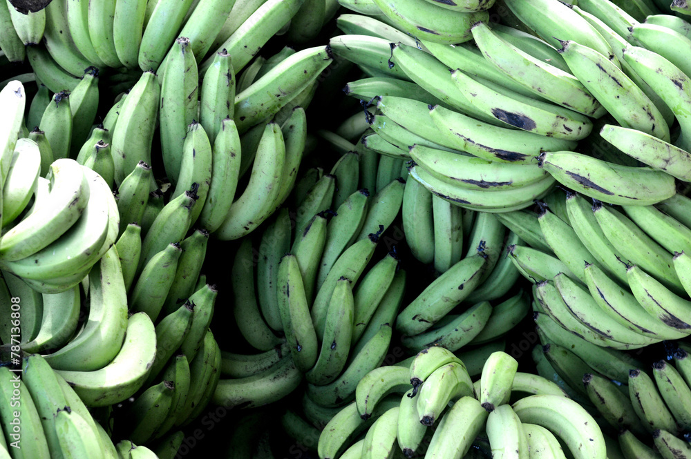A bunch of green bananas are piled up on top of each other A bunch of green bananas are piled up on top of each other