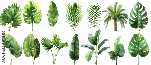 Lush collection of tropical leaves, a study of greenery with rich textures and vibrant life, botanical illustration,