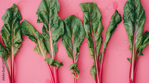 some fresh chard leaves with red stems on pink background View from above with copy space : Generative AI