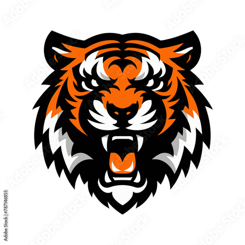 Vector tiger head.