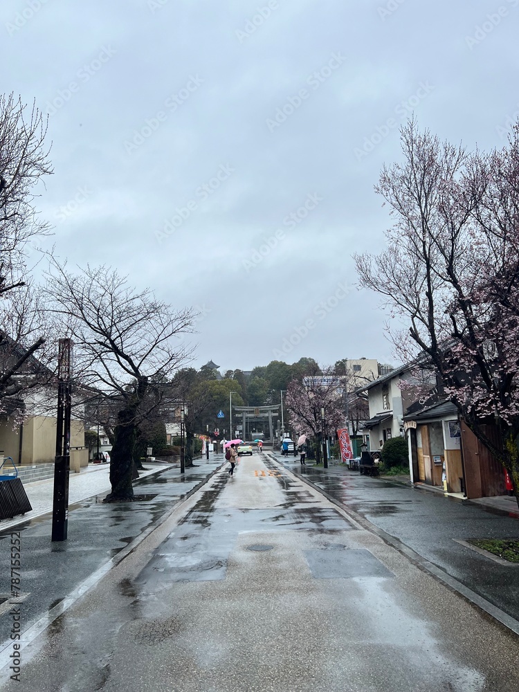street in Sakura Session