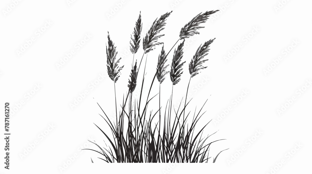 Reeds plant vector isolated grayscale icon - obrazy, fototapety, plakaty 