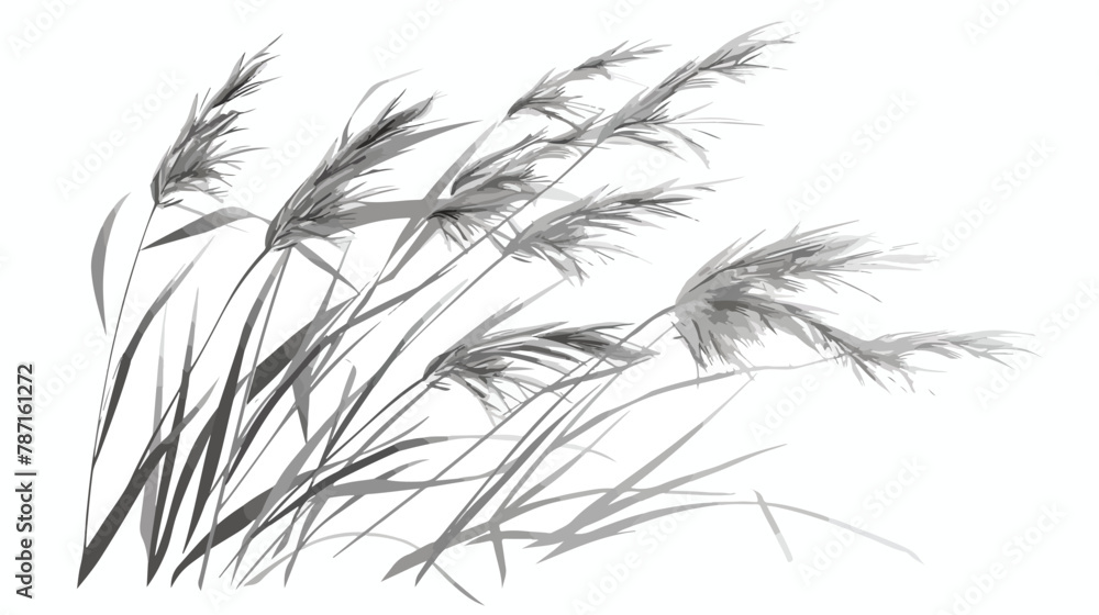 Reeds plant vector isolated grayscale icon