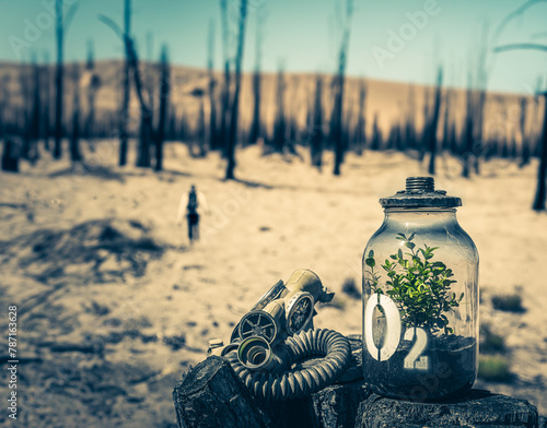 Jar with plant and mask on background of burnt forest