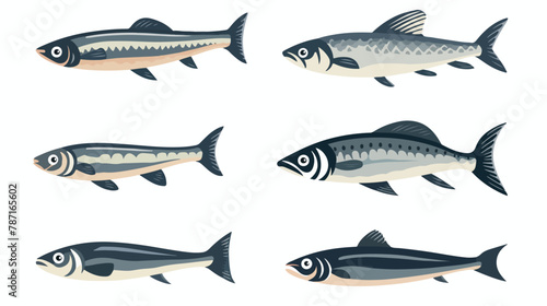 Sardine icon vector illustration flat style. food icon