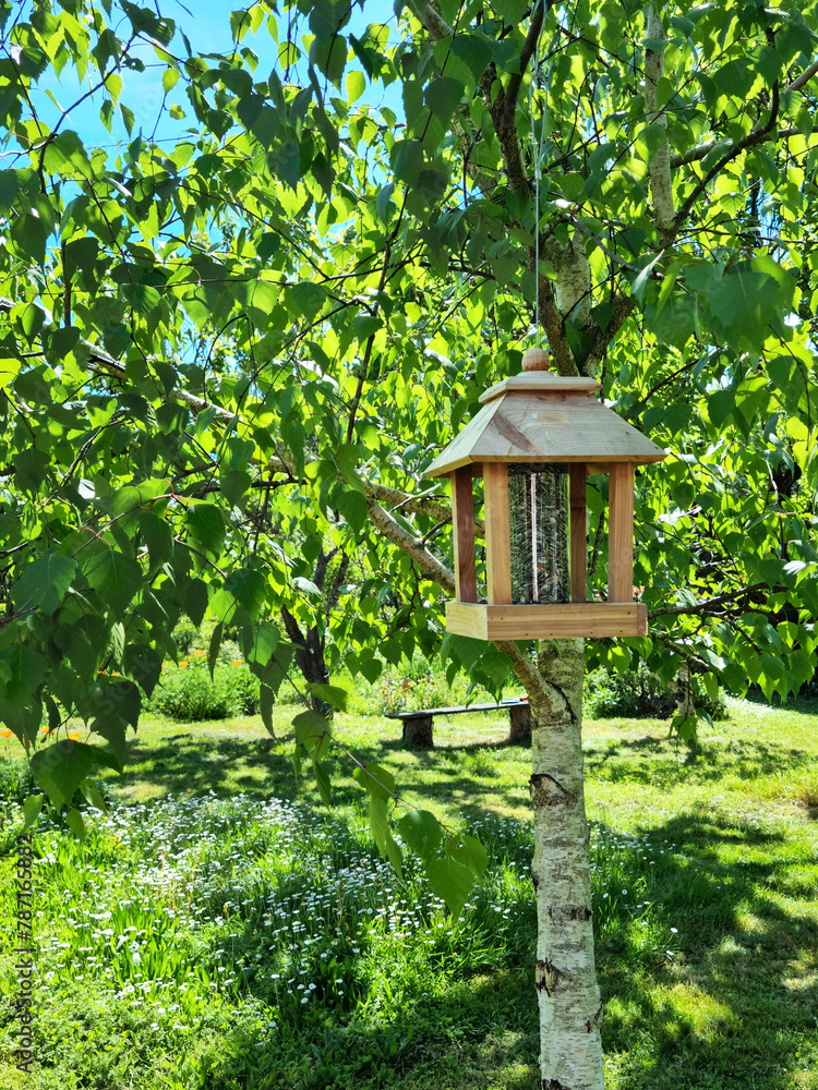 Mangeoire en bois avec graines pour oiseau dans un jardin sous un arbre vert au printemps Mangeoire en bois avec graines pour oiseau dans un jardin sous un arbre vert au printemps
