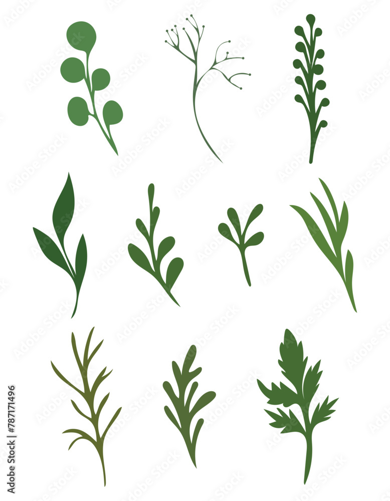 Set of green leaves Set of green leaves