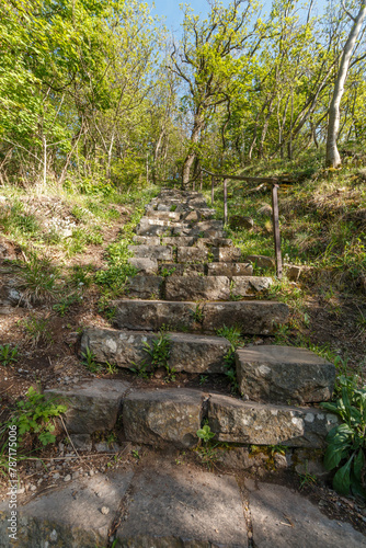 Stone steps in the forest.