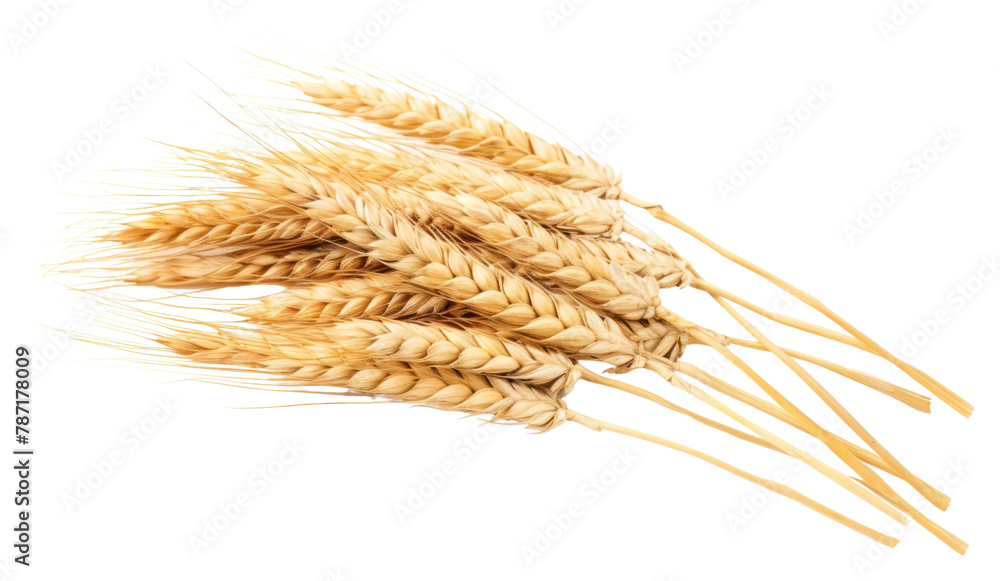 PNG Wheat ears wheat food white background PNG Wheat ears wheat food white background