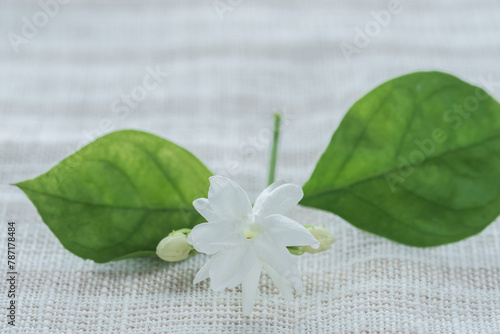 Beautiful Jasmine flower on the table