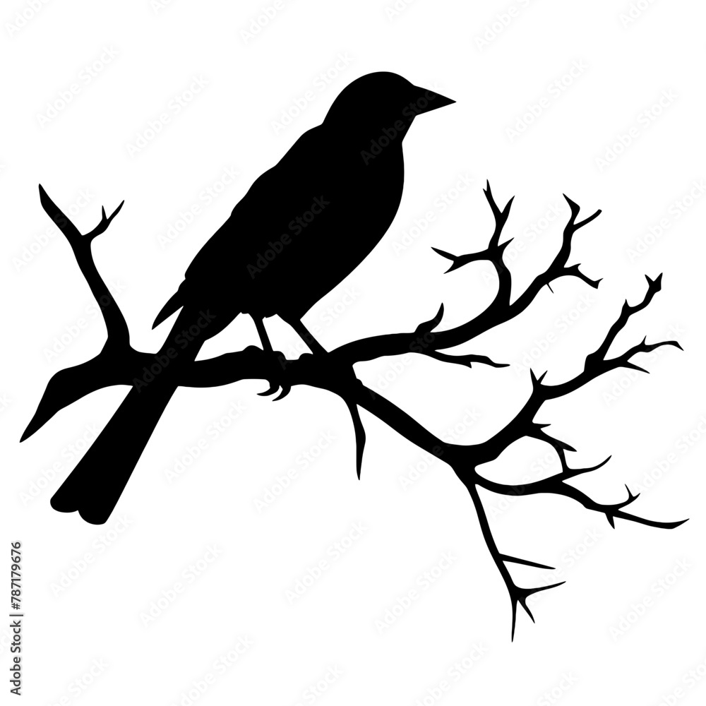 a bird sitting on top of a tree branch a bird sitting on top of a tree branch
