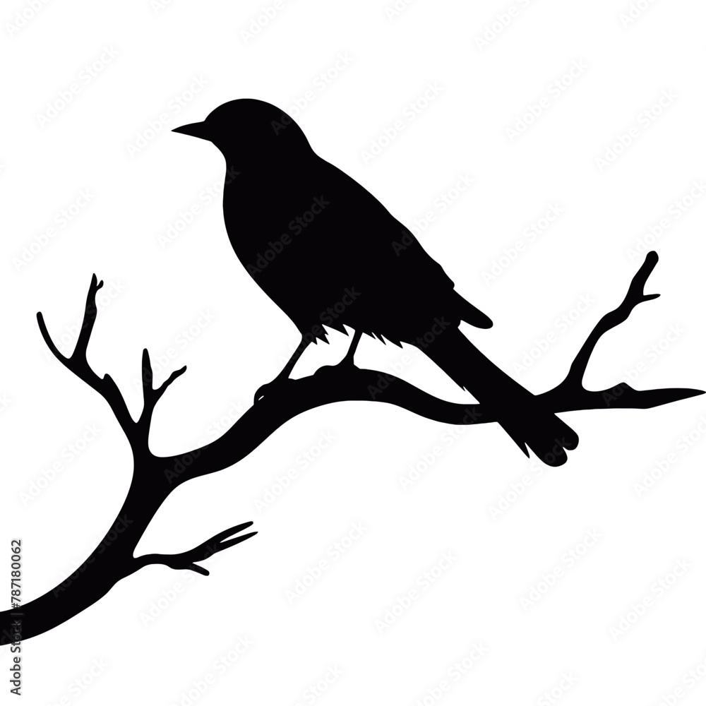 a bird sitting on top of a tree branch a bird sitting on top of a tree branch