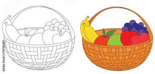 Fruit basket banana, apples grapes vector stroked and colored on a white background