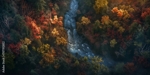 A breathtaking aerial shot captures the vibrant autumn foliage of a forest with a river cutting through the stunning landscape