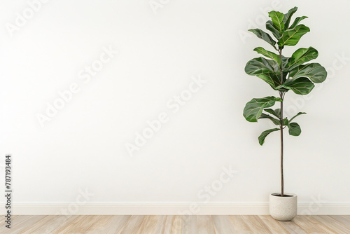 Interior empty white wall mockup  with plant