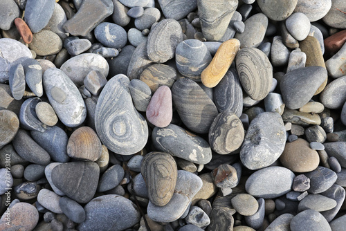stone texture for background. Multi-colored sea stones from various rocks and minerals.