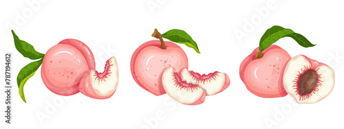 Set of ripe, juicy peach fruits and nectarine pieces.Vector graphics.