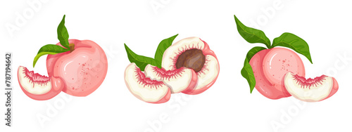 Set of ripe, juicy peach fruits and nectarine pieces.Vector graphics.