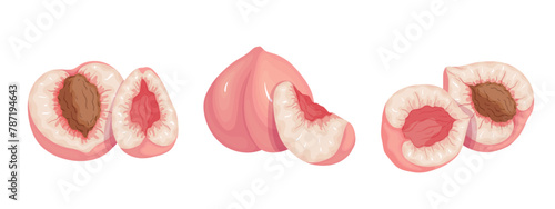 Set of ripe, juicy peach fruits and nectarine pieces.Vector graphics.