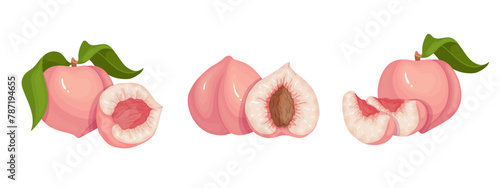 Set of ripe, juicy peach fruits and nectarine pieces.Vector graphics.