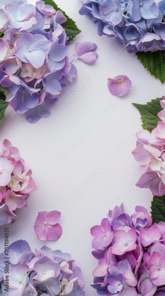 Top view of purple and pink hydrangea flowers on white surface with space for text in the center. Floral frame