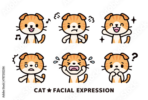 Set of illustrations of Scottish Folds in various poses facing forward